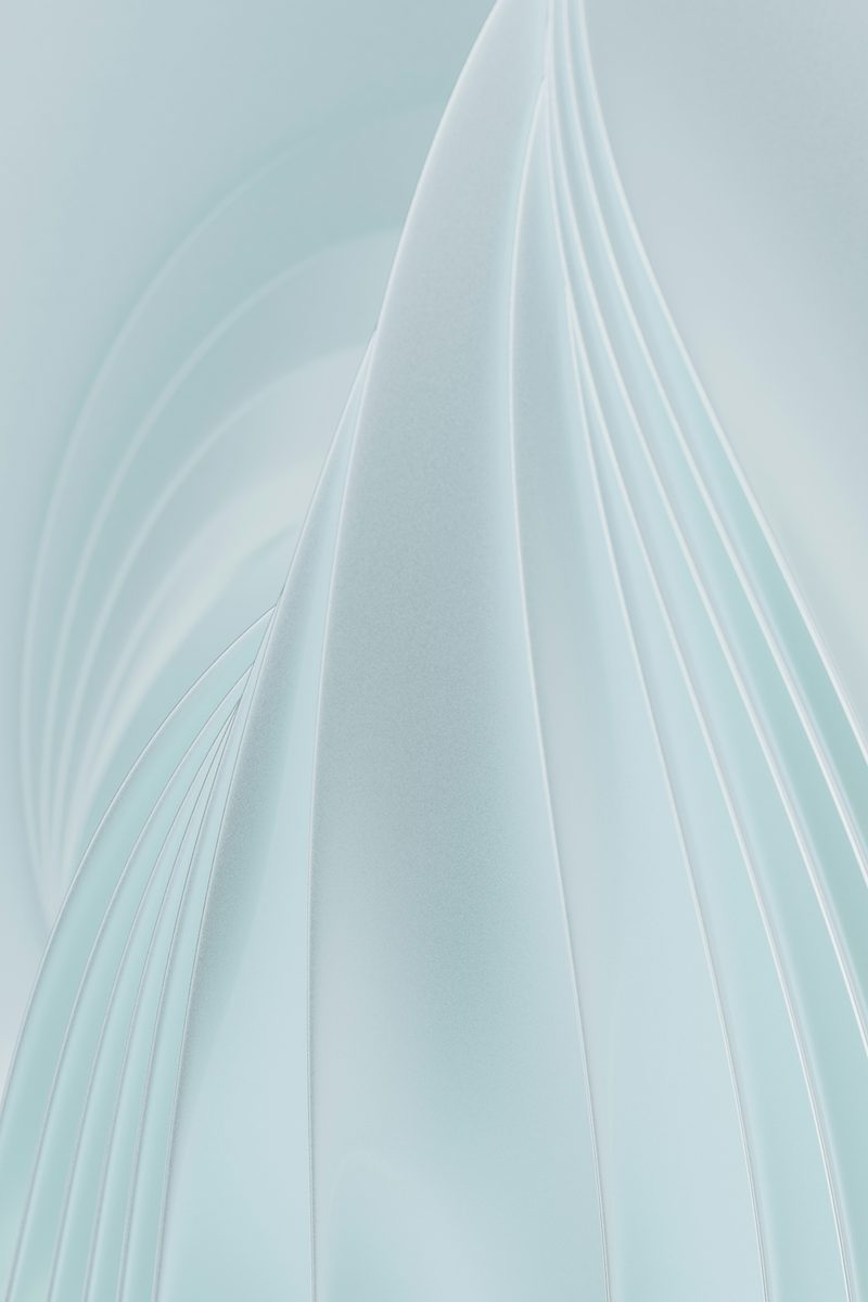 Asset management and maintenance