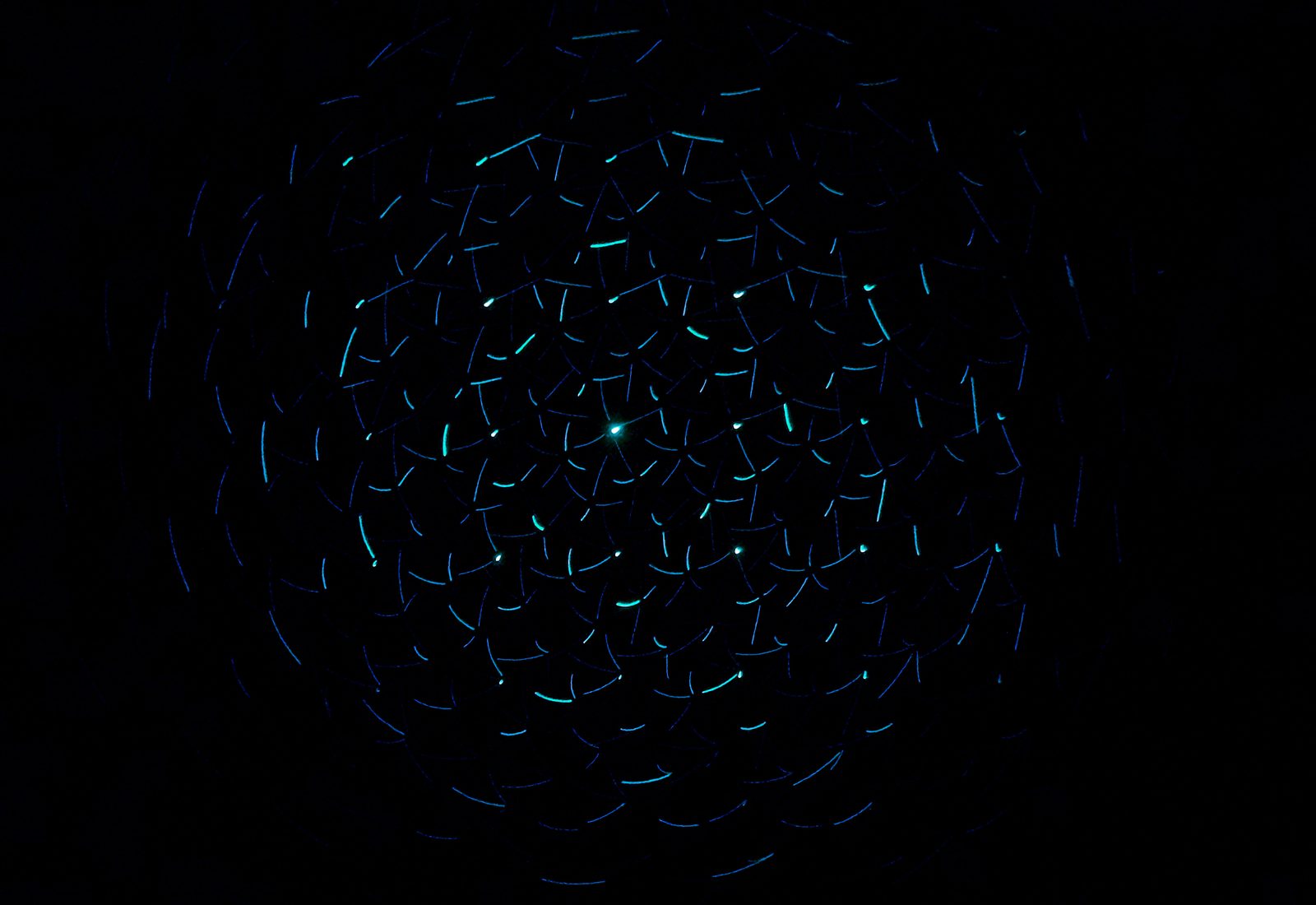 Global collaboration